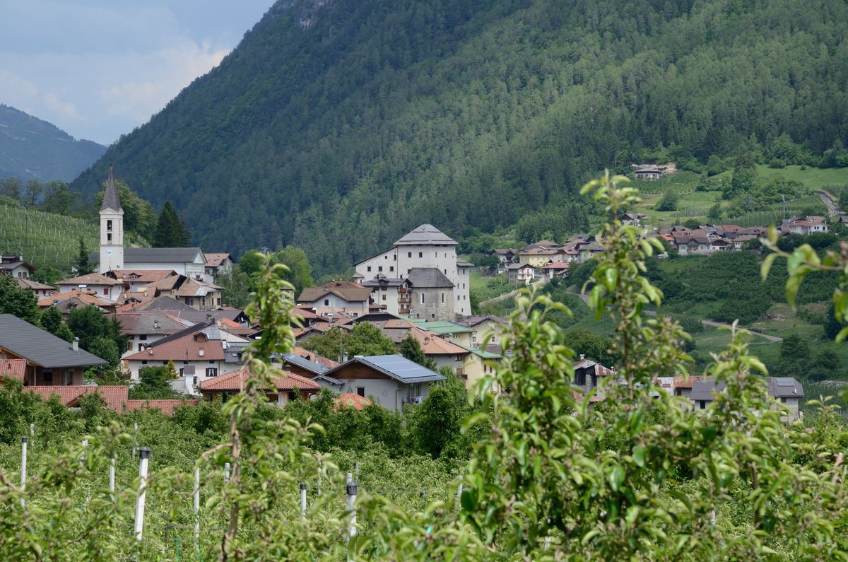 Do tragedii doszło w okolicach Caldes w Val di Sole
