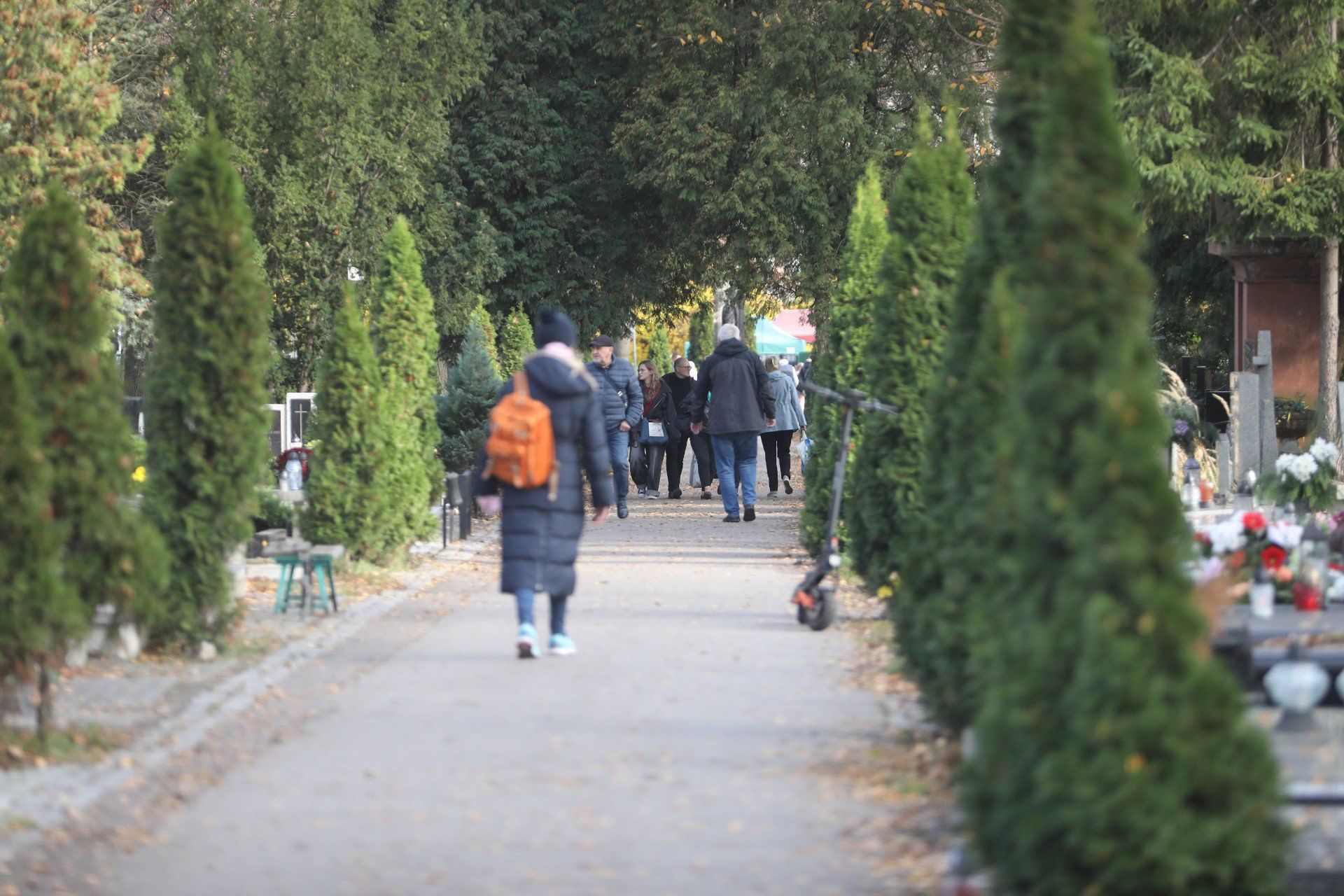 31.10.2025 KATOWICE CMENTARZ FRANCUSKA FOT. MARZENA BUGALA-ASTASZOW/ /DZIENNIK ZACHODNI/ POLSKA PRESS