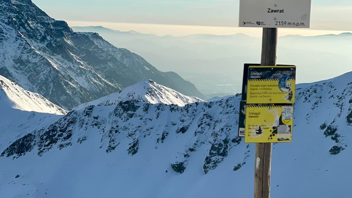 Spotkała lisa na Zawracie.