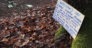 Pokazał zdjęcia z Lasu Młochowskiego. "Pierwszy raz w życiu widzę coś takiego"