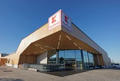 Oto największy sklep z drewna w Europie Wschodniej