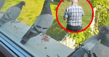 Wysypywał sześć misek karmy pod oknem. Wszystko nagrała