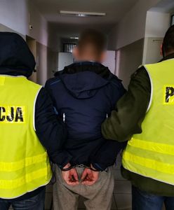 Zrzucił psa z ósmego piętra. Wyrok zapadł w jeden dzień