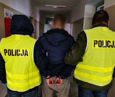 Zrzucił psa z ósmego piętra. Wyrok zapadł w jeden dzień