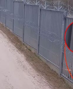 Incydent na granicy z Białorusią. Atak na Straż Graniczną