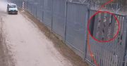 Incydent na granicy z Białorusią. Atak na Straż Graniczną