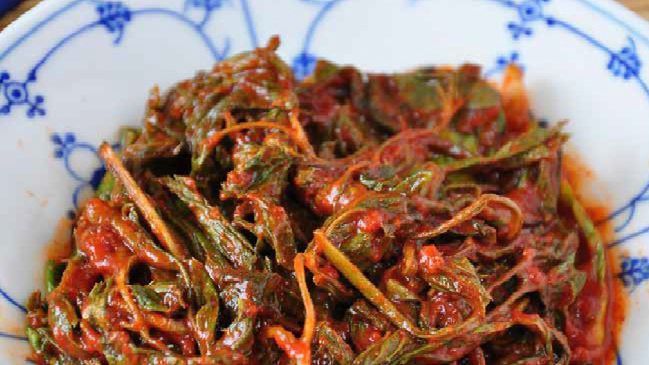 Kimchi z podagrycznika