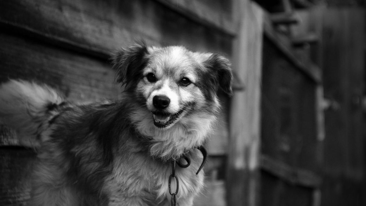 Na 30 stycznia zaplanowano