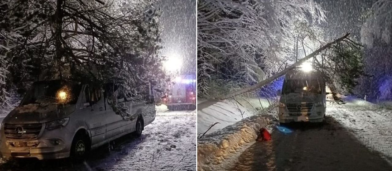 Drzewo spadło na autobus pod Elblągiem