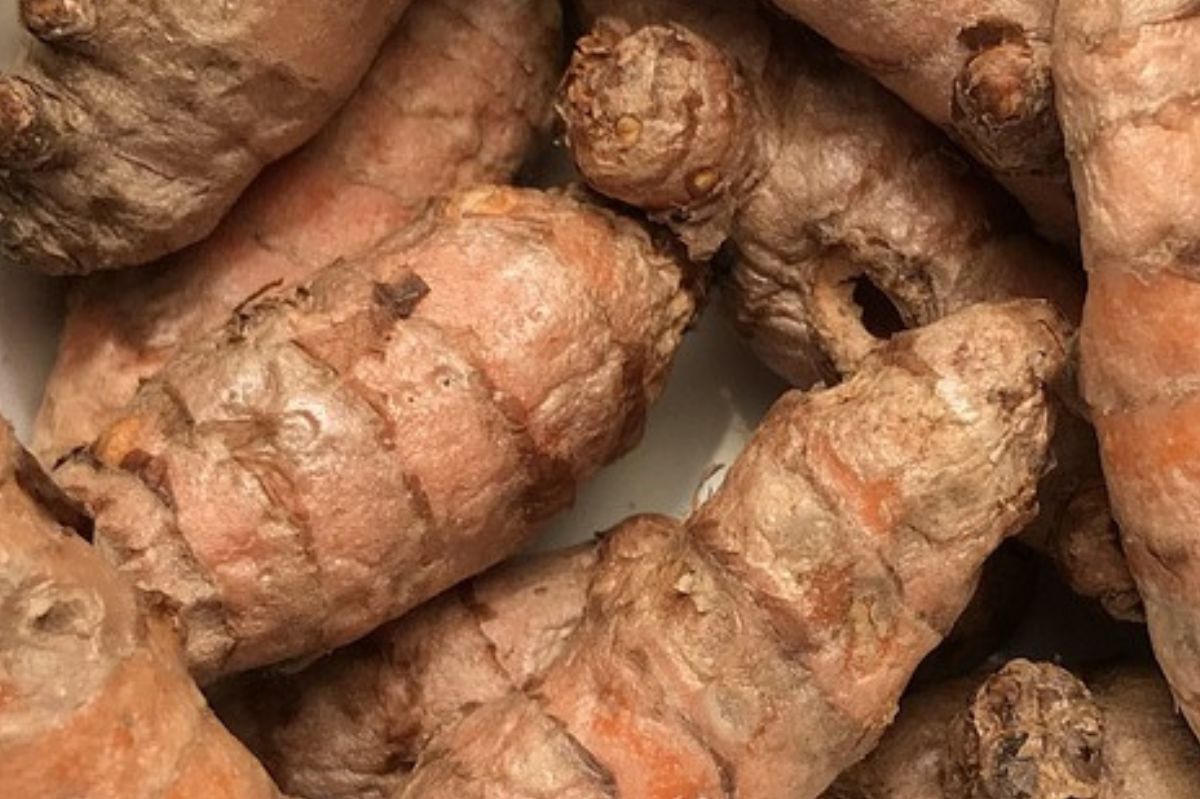 Turmeric can harm health.