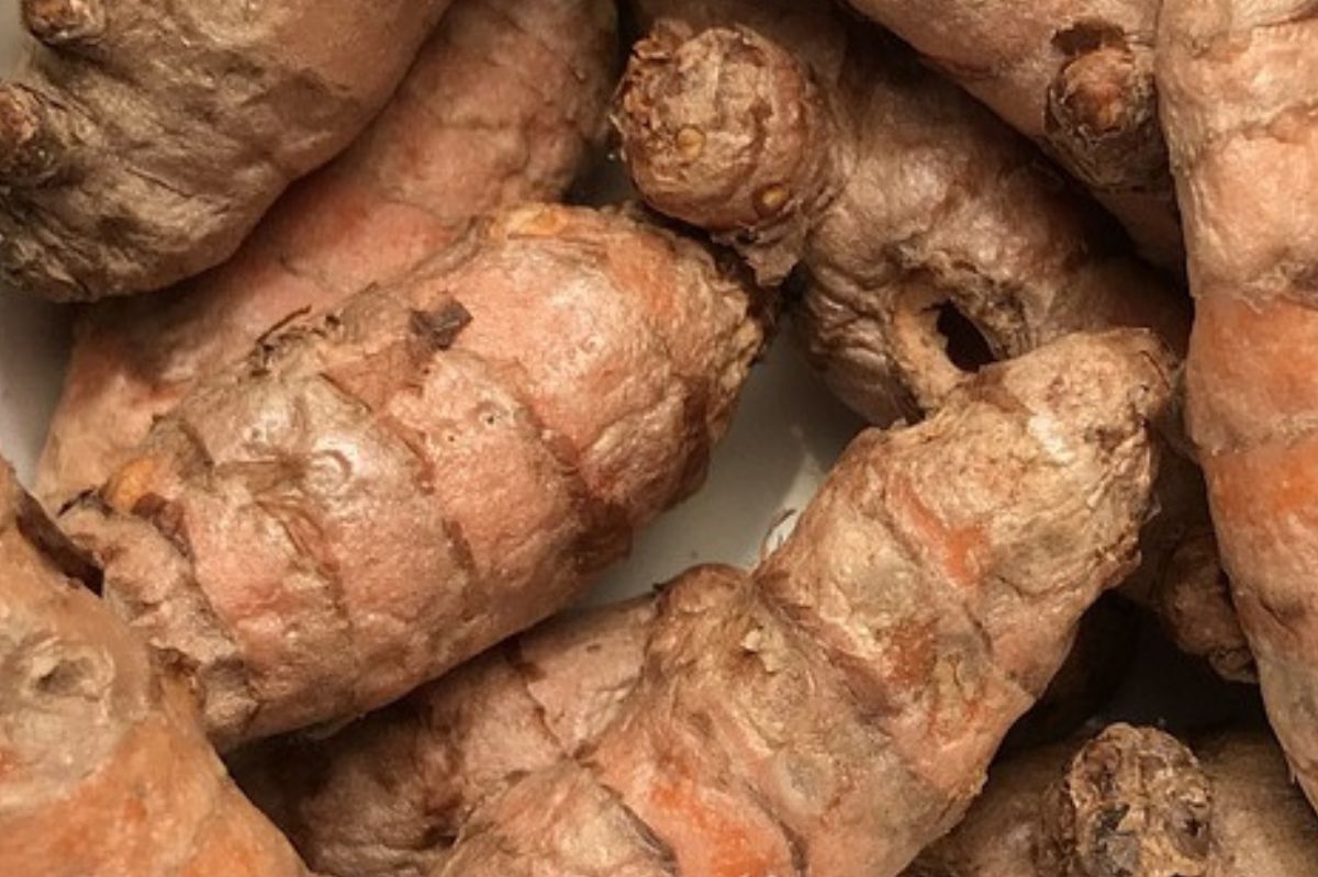 WHO warns of health risks from adulterated turmeric