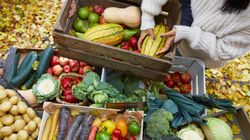 Wrzesień na talerzu. To teraz najzdrowsze owoce i warzywa