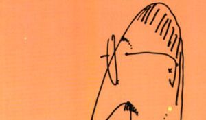 Japonia odarta ze złudzeń