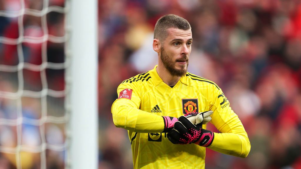 Getty Images /  James Williamson - AMA / Na zdjęciu: David De Gea