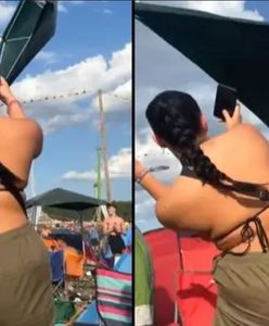 Pawilon ogrodowy zaatakował uczestniczki festiwalu. Nagranie z wichury to hit sieci