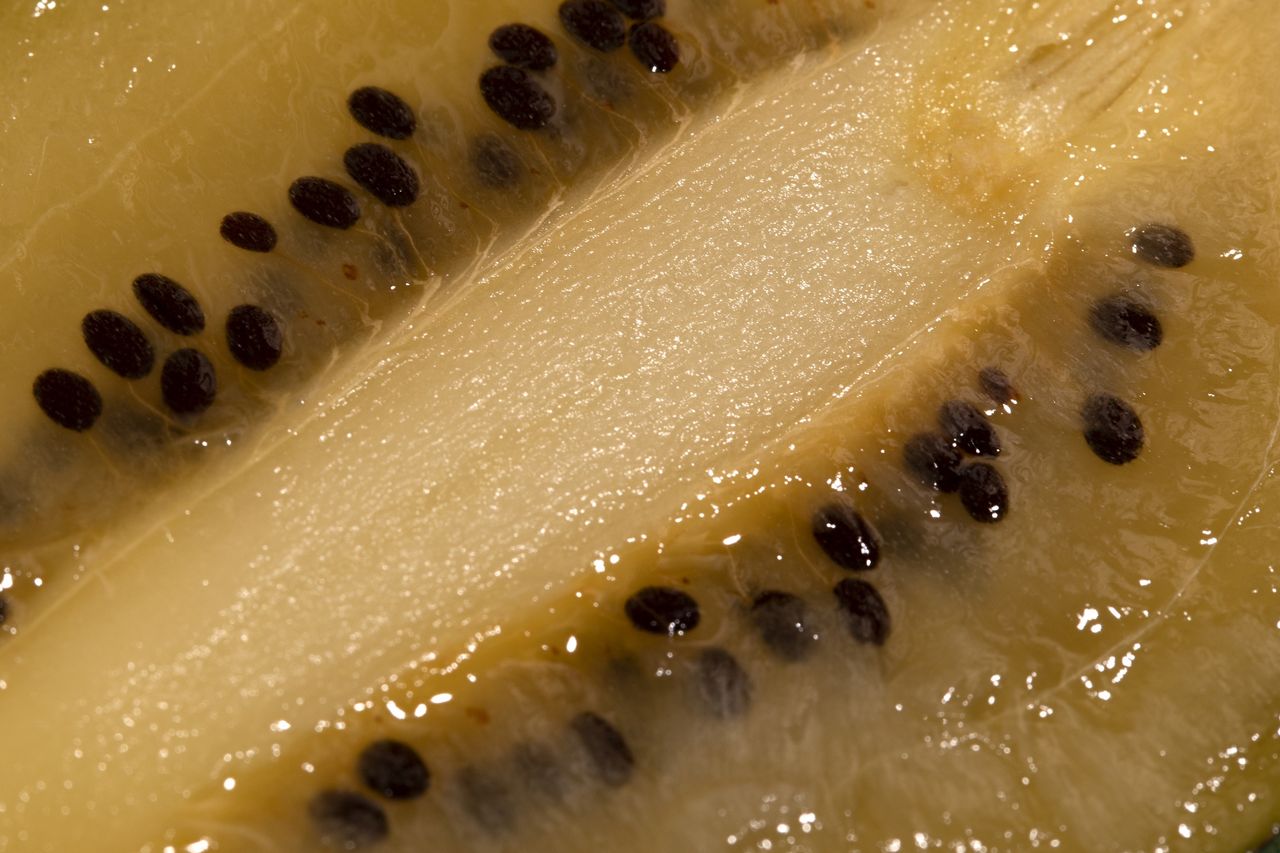 Kiwi consumption boosts mood and vitality in just four days, study finds