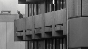 Nowe fakty o masakrze na IO w Monachium. Sportowcy z Izraela byli torturowani