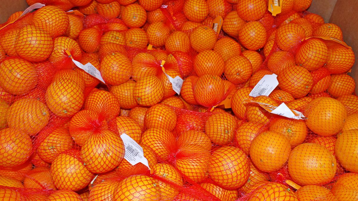 oranges, bags of oranges, fruit, food, closeup, supermarket, shelf, store, snacks, fruits