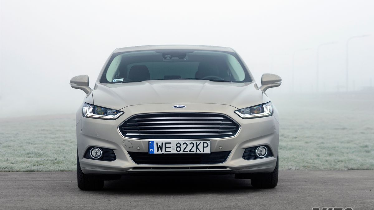 Zdjęcie ilustracyjne do artykułu