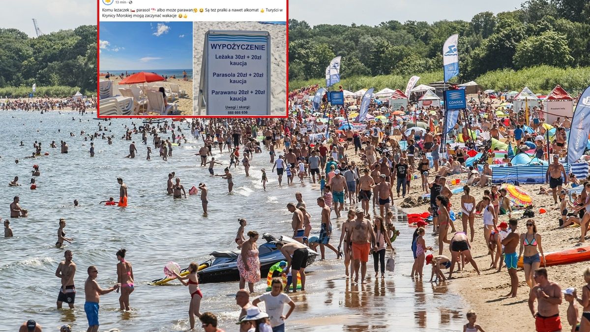 Tyle kosztują leżaki, parawany i parasole w Krynicy Morskiej.