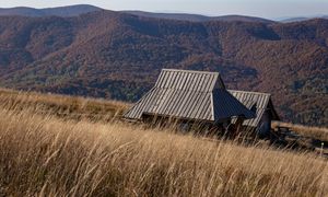 Mieszka w chatce bez prądu. Dostał wezwanie do zapłaty abonamentu RTV