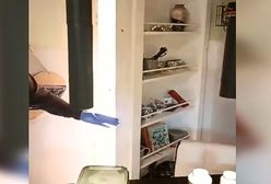 Zaskakujące odkrycie służb za szafką. "Nawet 10 lat więzienia"