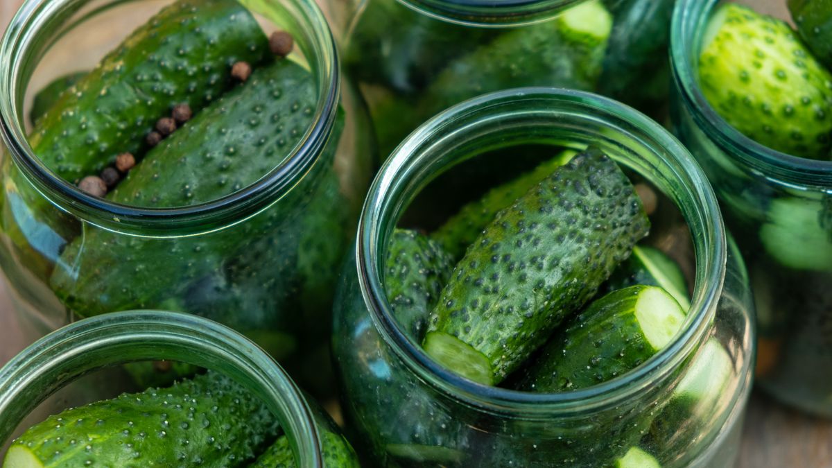 Ogórki małosolne są gotowe już po kilku dniach