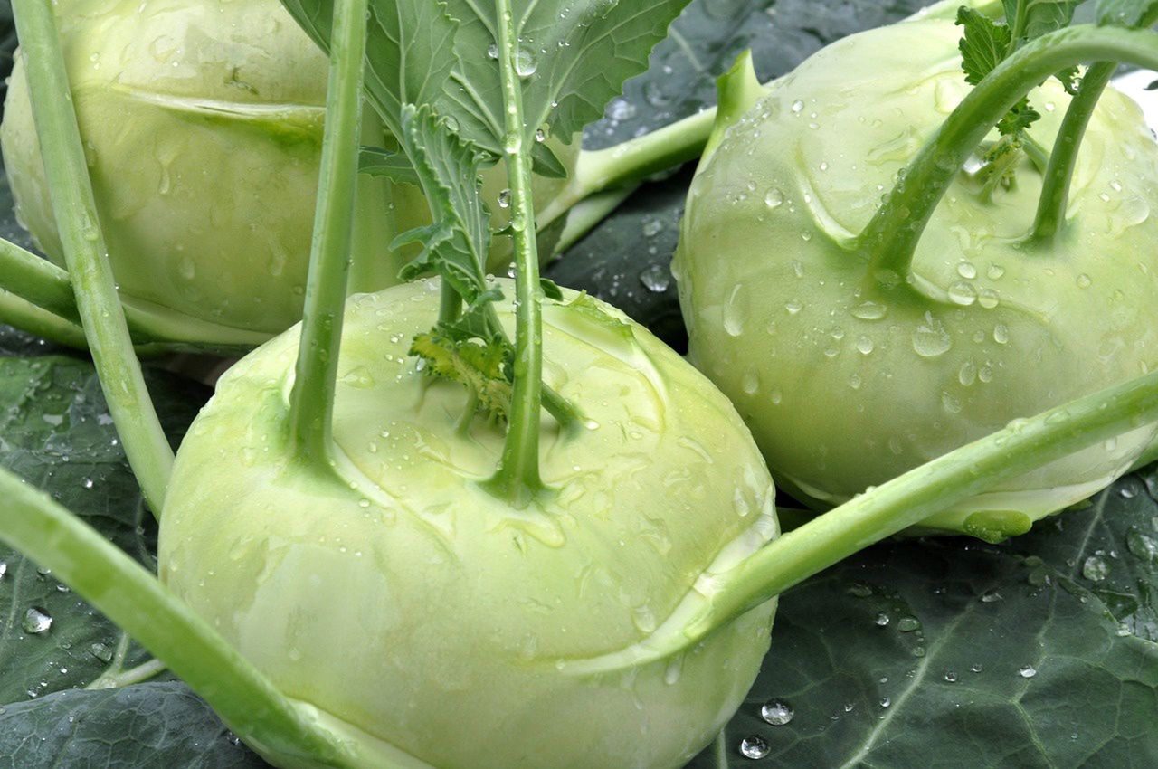 Kohlrabi is a delicious and healthy vegetable