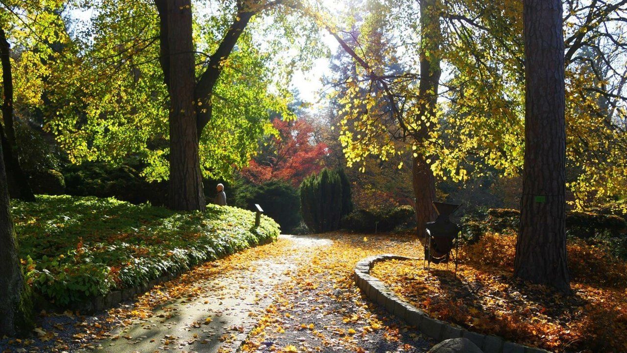 Wojsławice: Jesienny finał sezonu 2025. Arboretum zaprasza na koncert