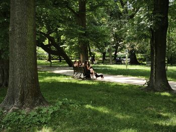 Zielona innowacja w Krakowie. Licznik informuje o posadzonych drzewach