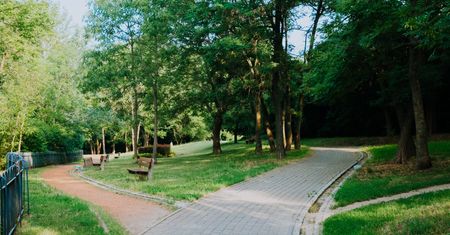 Park Abisynia w Płocku zyska nowe oświetlenie. Pojawią się 52 latarnie