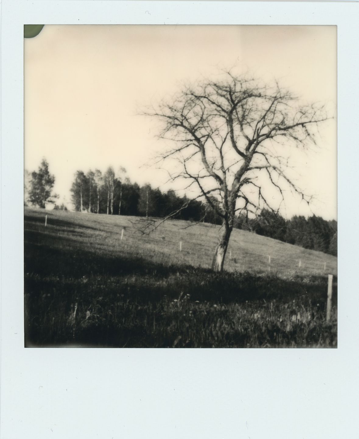 Impossible I-1 – czy współczesny Polaroid jest chociaż zbliżony do oryginałów? [test] 15