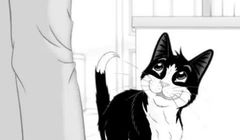 „I kto tu jest sprytnym kotem?” - nowa kampania marki Felix (wideo)