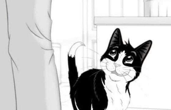 „I kto tu jest sprytnym kotem?” - nowa kampania marki Felix (wideo)