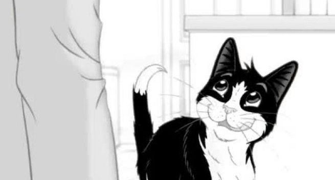 „I kto tu jest sprytnym kotem?” - nowa kampania marki Felix (wideo)