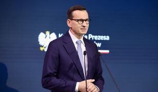 Znów uderzają w Tuska. Nowa akcja PiS