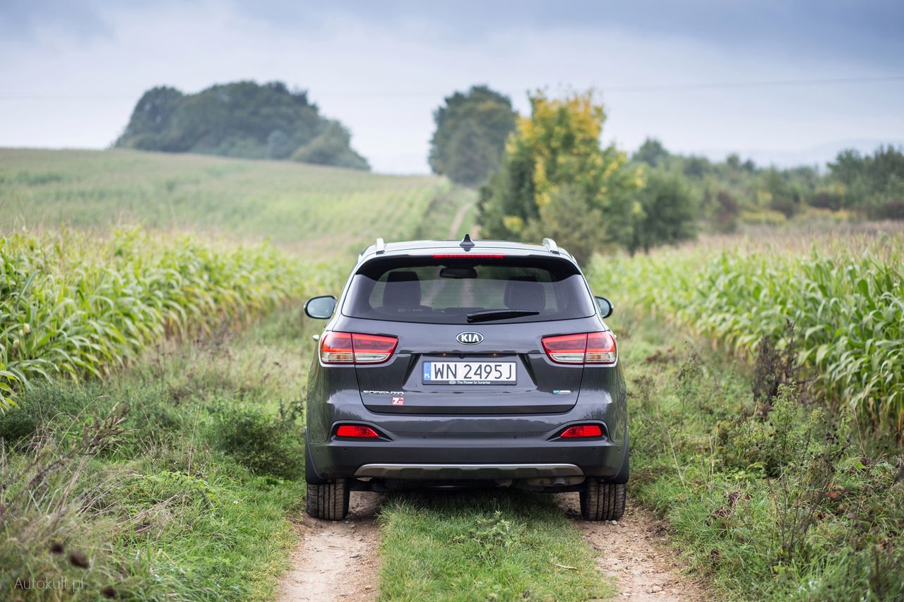 Kia Sorento 2.0 4WD AT XL (2017) (fot. Mateusz Żuchowski)