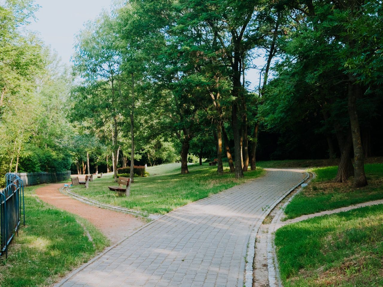 Park Abisynia w Płocku zyska nowe oświetlenie. Pojawią się 52 latarnie