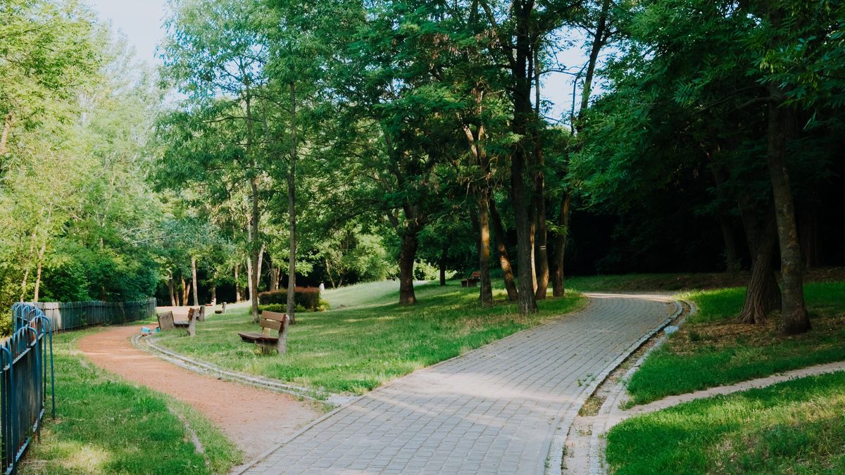 Park Abisynia 