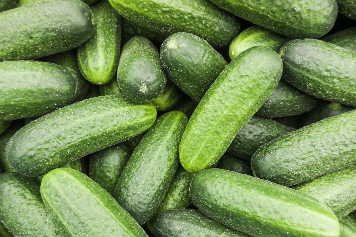 Ogórki w zamrażarce? Tak, to możliwe!