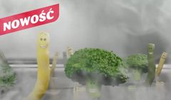 Warzywa Bonduelle pierwszy raz reklamowane w kinach (wideo)