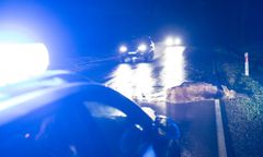 Zderzenie radiowozu z łosiem. Komendant w szpitalu