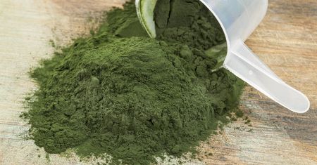 Suszona spirulina