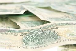 SP chce wprowadzenia tzw. kanadyjskich emerytur obywatelskich