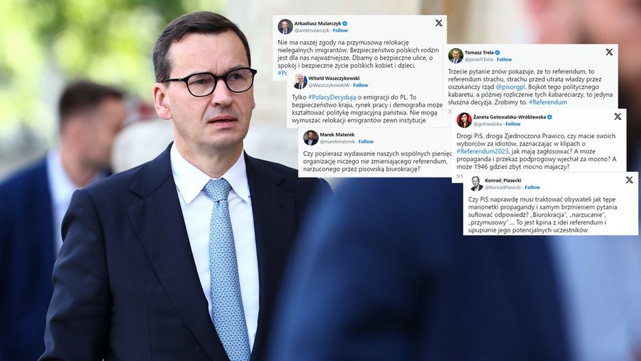 Mateusz Morawiecki sklejka 