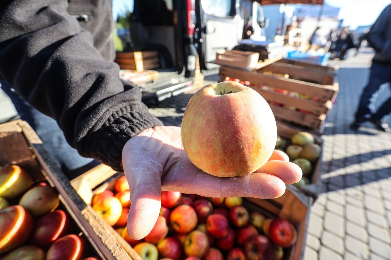 Jabłka po 8 zł/kg dla klienta, grosze dla rolnika. Dane z rynku szokują