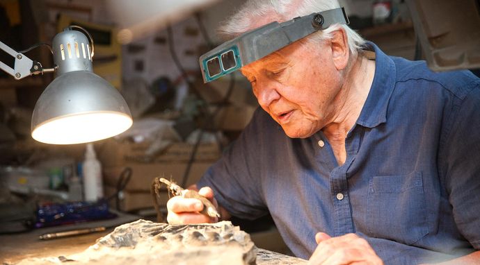 David Attenborough i smok morski