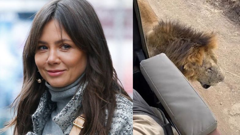 Kinga Rusin obserwuje lwy w rezerwacie