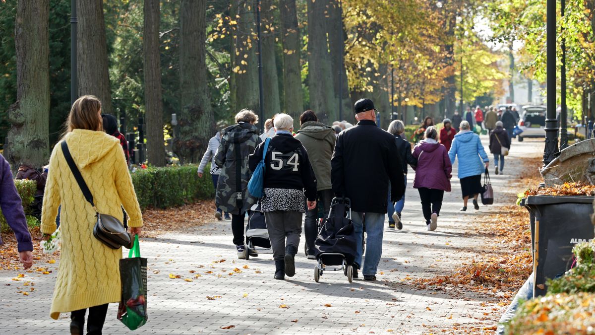 DAREK11ludzie, odwiedziny, cmentarz, spacer, alejka, park, czas, zaduszki, grób, nekropolia, pochówek, zgon, urna, znicz, 1 listopad, o bliskich, uwaga, zmarli, kwiaty, chryzantemy, doniczka, stroik, rodzina, komunalny, parafialny, cmentarny, pomnik, krzyż, epitafium, nagrobek, grobowiec, prochy ludzkie, pogrzeb