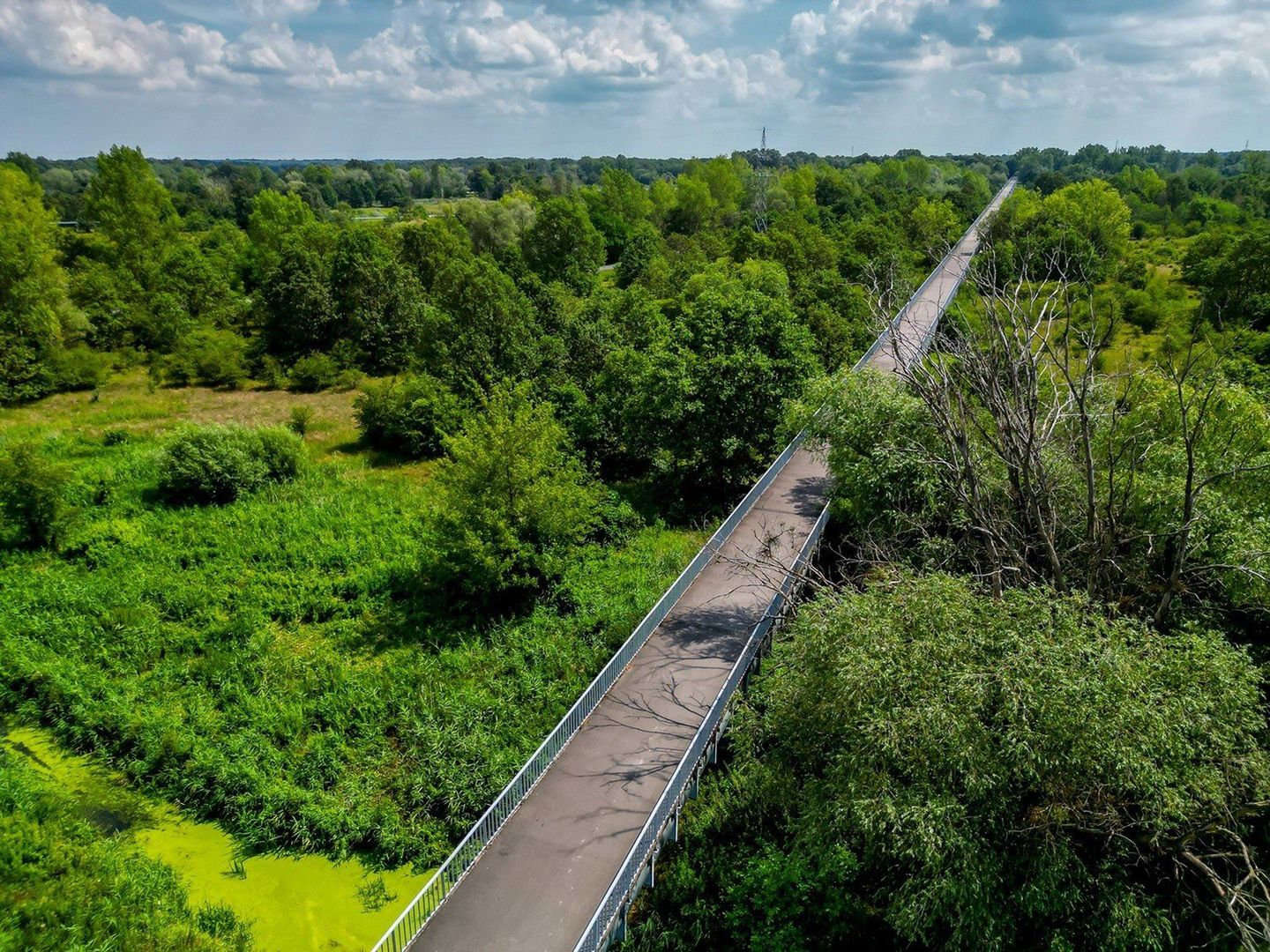 Ten most wiosną i latem tonie w zieleni. Zobaczcie zdjęcia z drona &gt;&gt;